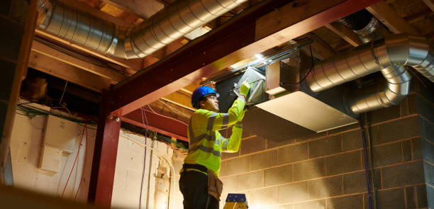Best Air Duct Mold Removal  in Centerville, OH