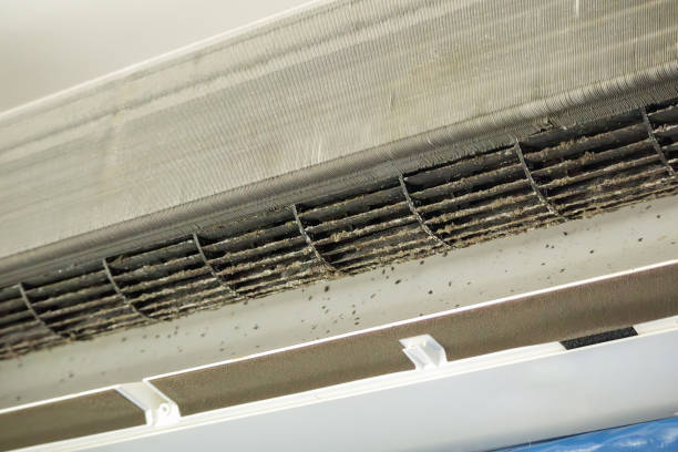 Best HVAC System Cleaning  in Centerville, OH